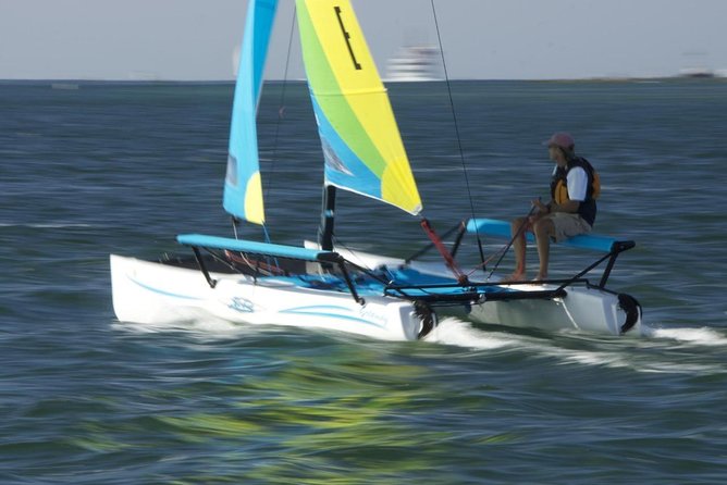 Hobie Cat Sailing with Miami Watersports - One hour of hands-on sailing