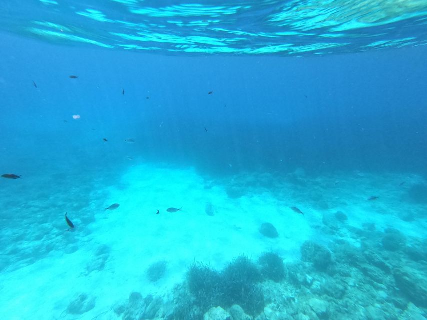 Hvar: Private Sailing Boat Trip with Swimming and Snorkeling - Is $471 a good value?