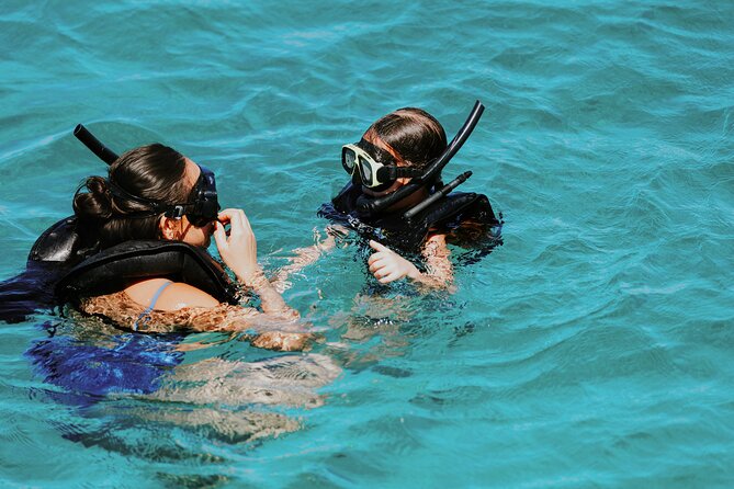 Iconic Aruba Sail and Snorkel Experience - The Antilla shipwreck and stronger water conditions