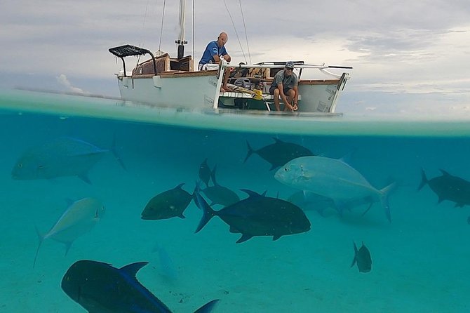 Introduction to sailing and discovering the lagoon - What the $126 price really covers