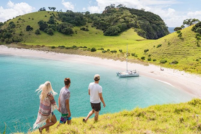 Island Hopper Day Cruise - sailing to wildlife sanctuary island - 6 hr cruise - Why this six-hour cruise works so well