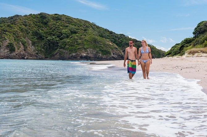 Island Hopper Day Cruise - sailing to wildlife sanctuary island - 6 hr cruise - How the price compares with the experience