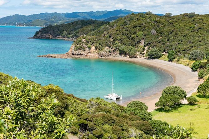 Island Hopper Day Cruise - sailing to wildlife sanctuary island - 6 hr cruise - Leaving Paihia and entering the bay