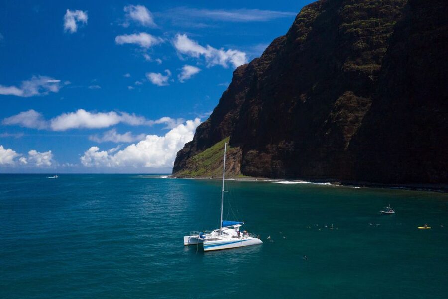 Kauai: Napali Coast Sail & Snorkel Tour from Port Allen - Wildlife sightings, with no guarantees