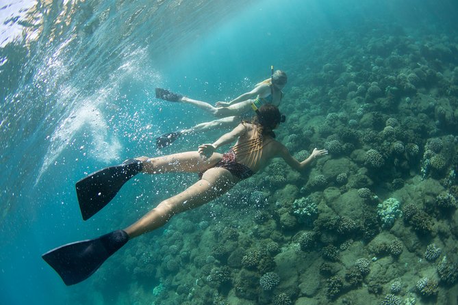 Kauai’s Na Pali Coast Snorkel and Sail Tour - What to pack for a more comfortable day