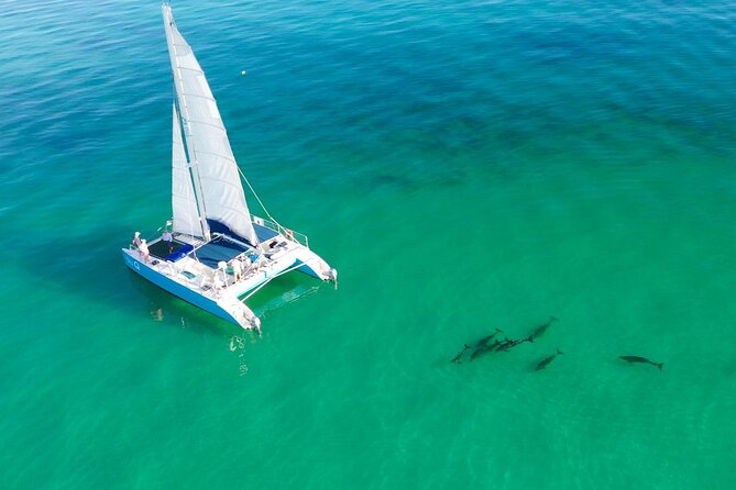 Kayak + Guided Snorkel & Morning Sail hosted by Honest Eco - Key points to know before booking