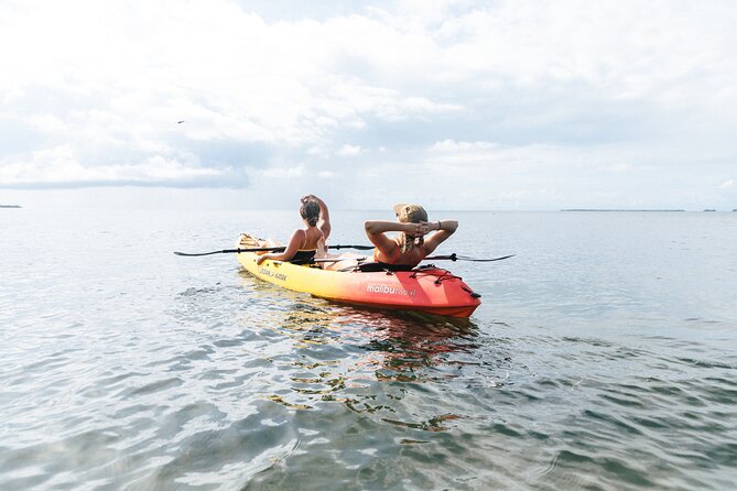 Kayak + Guided Snorkel & Morning Sail hosted by Honest Eco - A half-day on the water from Historic Seaport