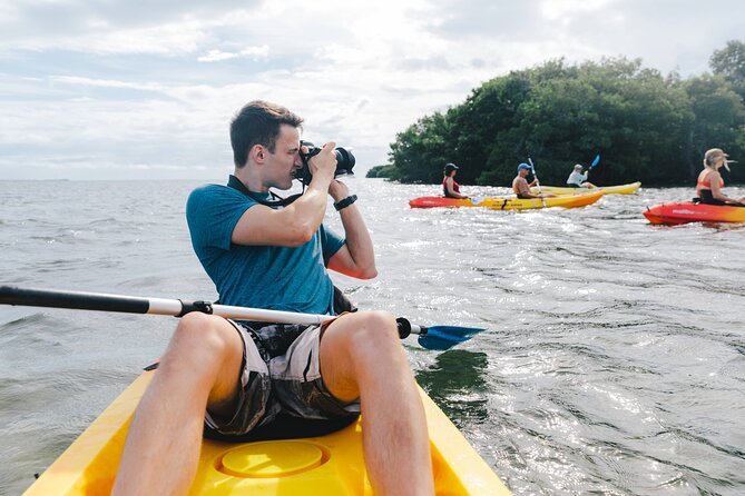 Kayak + Guided Snorkel & Morning Sail hosted by Honest Eco - Wildlife watching without chasing animals