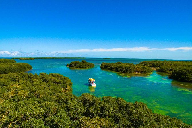 Kayak + Guided Snorkel & Morning Sail hosted by Honest Eco - Fresh food and useful equipment