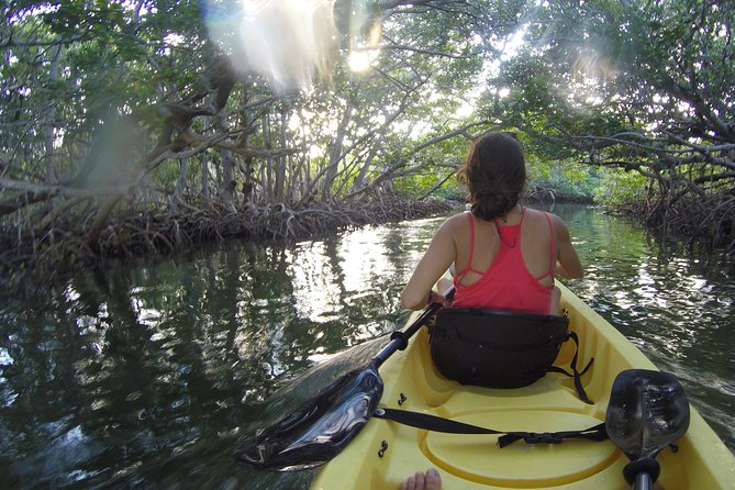 Kayak + Guided Snorkel & Morning Sail hosted by Honest Eco - Who will enjoy this Honest Eco outing?