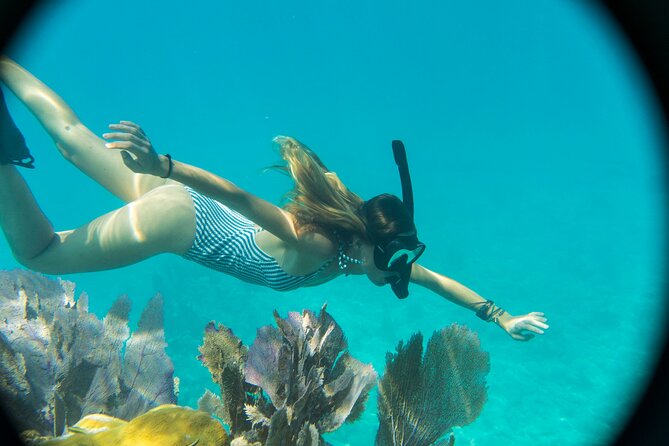 Kayak + Guided Snorkel & Morning Sail hosted by Honest Eco - Through the mangroves by tandem kayak