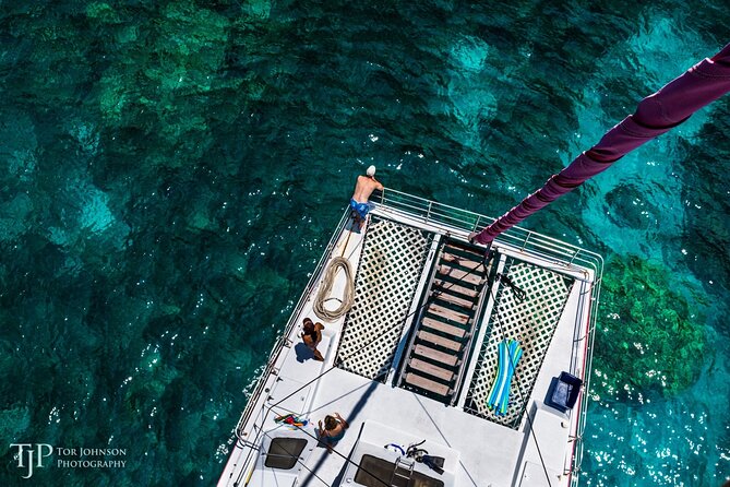 Kealakekua Bay (Captain Cook Monument) Snorkel and Sail Adventure - What you may see beneath the surface
