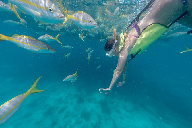 Key West Afternoon Snorkel Sail with Unlimited Cocktails! - The ride to the Florida Reef