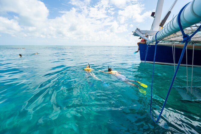 Key West Afternoon Snorkel Sail with Unlimited Cocktails! - What you may see beneath the surface
