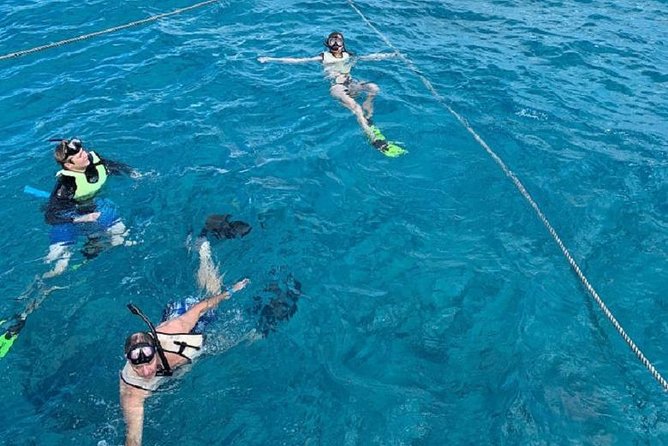 Key West Afternoon Snorkel Sail with Unlimited Cocktails! - Snorkeling time and the crowd question