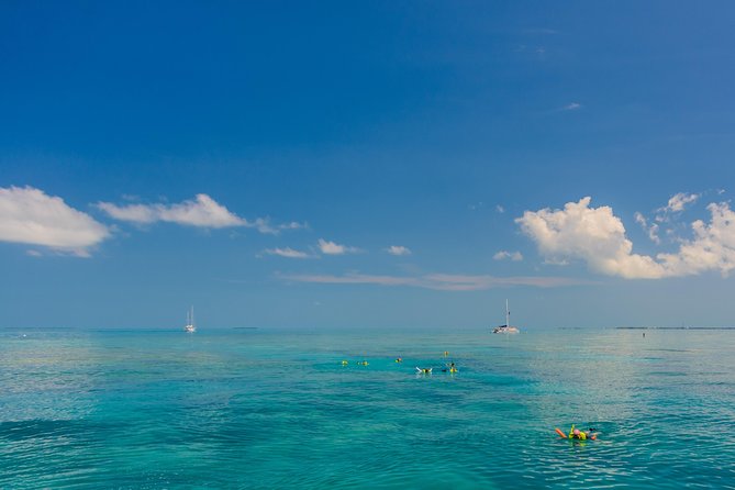 Key West Afternoon Snorkel Sail with Unlimited Cocktails! - The open bar comes after the mask comes off