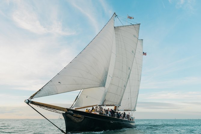 Key West Day Sail on Schooner America 2.0 with 2 Drinks - Wildlife watching from the rail