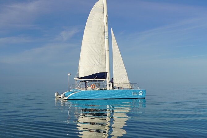 Key West Dolphin Watch and Sunset Sail on Catamaran - A three-hour outing with two clear goals