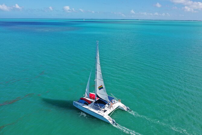 Key West Dolphin Watch and Sunset Sail on Catamaran - Is $117.17 good value?
