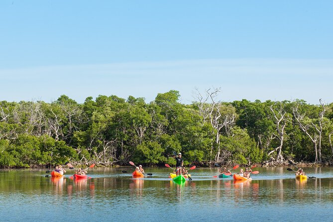 Key West Full-Day Ocean Adventure: Kayak, Snorkel, Sail - Kayaking beneath the mangrove canopy