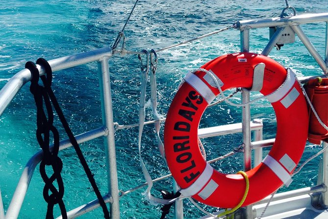 Key West Reef Snorkel & Sail Adventure - Preparing for the reef
