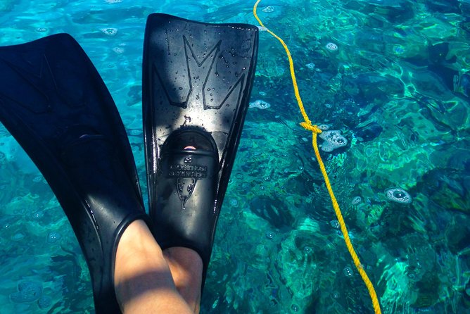 Key West Reef Snorkel & Sail Adventure - About 45 minutes above the coral reef