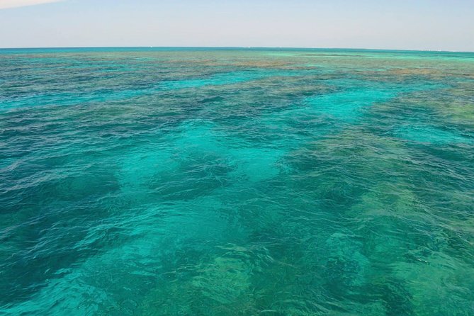 Key West Reef Snorkel & Sail Adventure - My booking advice