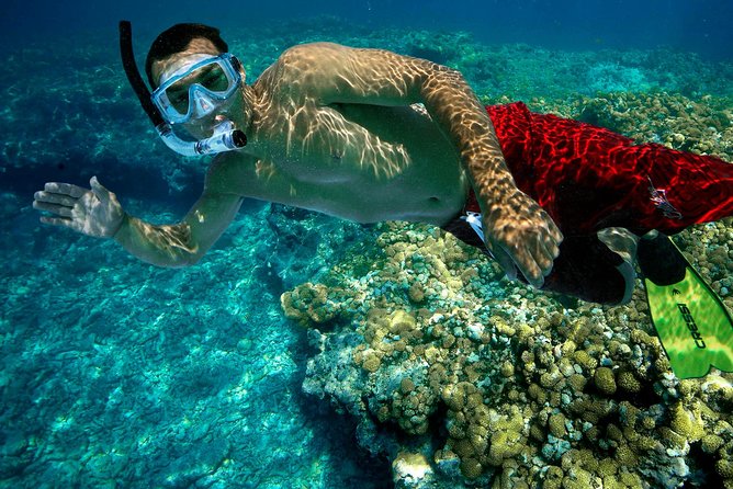 Key West Rum and Reggae: Reef Snorkel Adventure and Sunset Sail - From Opal Key Marina to open water