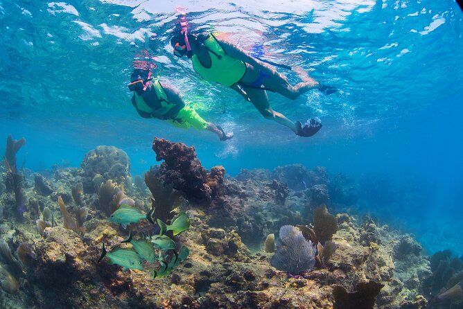 Key West Rum and Reggae: Reef Snorkel Adventure and Sunset Sail - Who will enjoy this Key West boat trip?