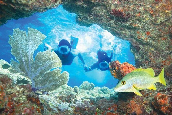 Key West Rum and Reggae: Reef Snorkel Adventure and Sunset Sail - Should you book Rum and Reggae?