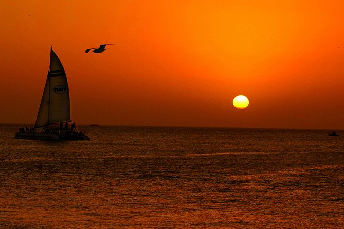 Key West Rum and Reggae: Reef Snorkel Adventure and Sunset Sail - A short but worthwhile snorkel session