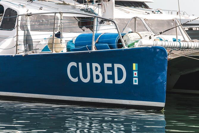 Key West's Favorite Afternoon Dolphin Sail - Key things to know before you sail