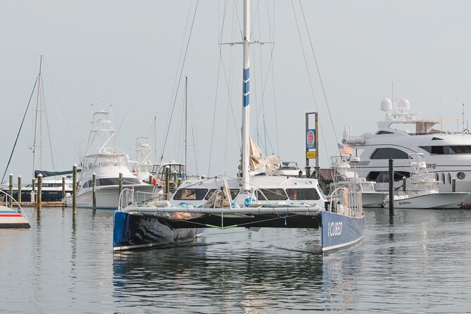 Key West's Favorite Afternoon Dolphin Sail - Scenic sailing near Sunset Key
