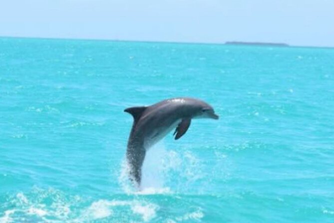 Key West's Favorite Afternoon Dolphin Sail - Drinks, comfort, and the catamaran setup