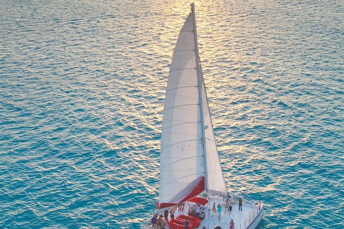 Key West Signature Sunset Sail with Live Music, Open Bar & Food - Treat the appetizers as snacks, not dinner