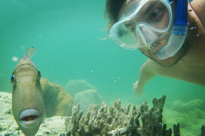 Key West: Sunset Sail + Reef Snorkel & Sandbar - The 45-minute ride to Sand Key Reef
