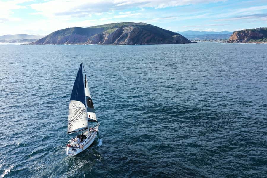 Knysna: 1.5-Hour Sailing Experience - Practical tips for a better sail