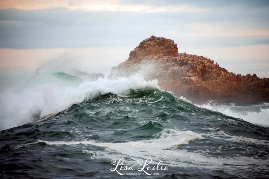 Knysna: 2.5-Hour Day Sail & Lunch Charter - Is $143 a fair price?