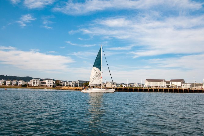 Knysna Day Sail & Lunch Charter 2.5 Hour - What the $119.64 price gets you