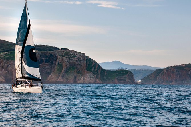 Knysna Day Sail & Lunch Charter 2.5 Hour - Sailing across the Knysna Lagoon