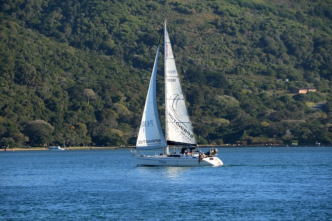 Knysna Day Sailing Cruise 1.5 hour - Crew Commentary and the Small-Boat Feel