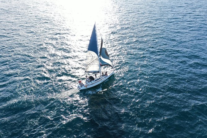 Knysna Day Sailing Cruise 1.5 hour - What Happens During the Final Return