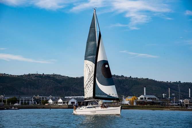 Knysna Day Sailing Cruise 1.5 hour - Practical Advice for a Smoother Trip
