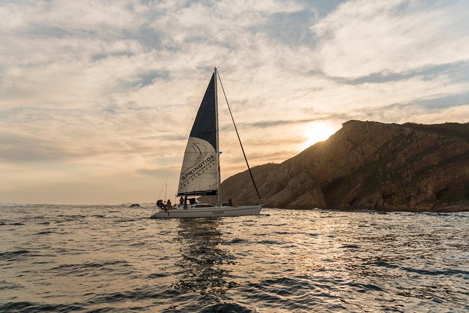 Knysna Sunset Sailing Cruise, Light Dinner & Bubbly - When the Sparkling Wine and Dinner Arrive