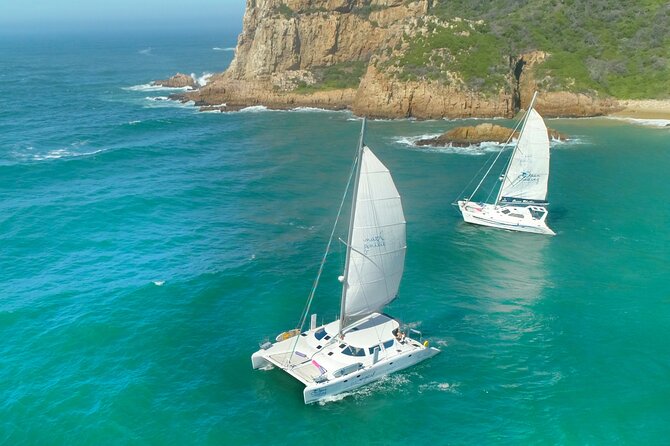 Knysna Sunset Sailing Cruise with captain's steak Braai & Bubbly - Key details worth knowing