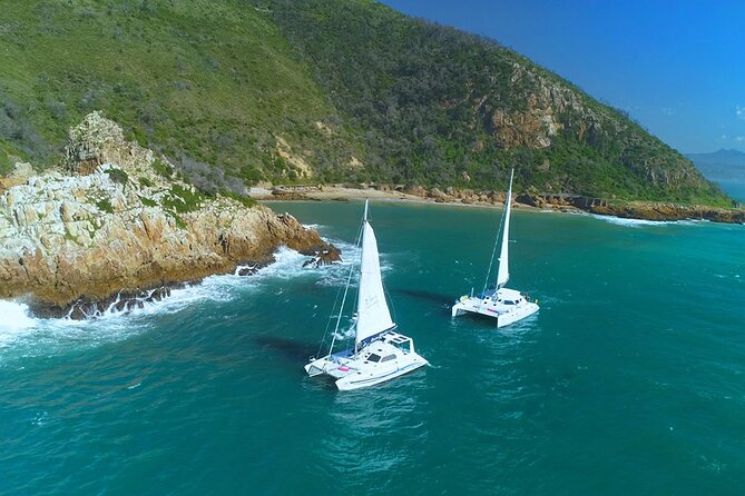 Knysna Sunset Sailing Cruise with captain's steak Braai & Bubbly - Practical details before you reserve