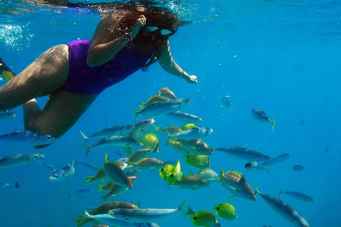 Ko Olina Catamaran Sail and Snorkel with Lunch - Who will get the most from this tour