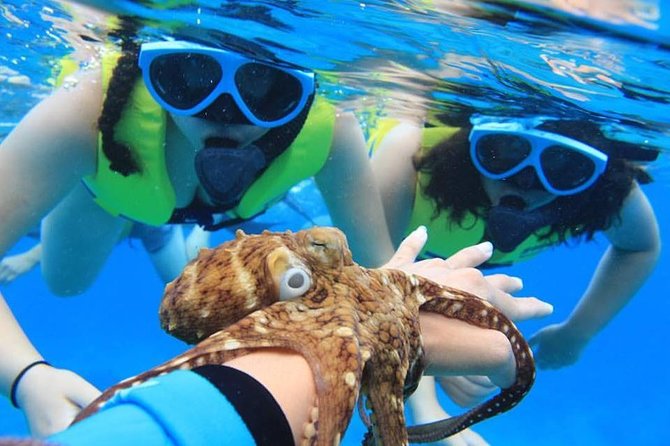 Ko Olina Catamaran Sail and Snorkel with Lunch - What the 53-foot catamaran feels like
