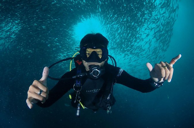 Koh Samui 2-Dive Trip to Sail Rock for certified divers - Who should book this Sail Rock outing