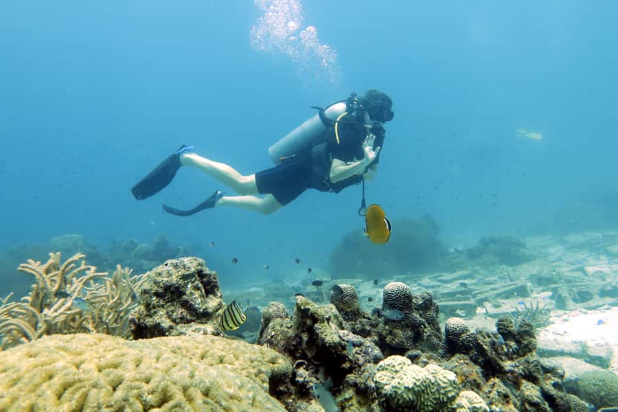 Koh Samui: Day Trip Diving at Sail Rock - The 8 a.m. hotel pickup sets the day’s pace